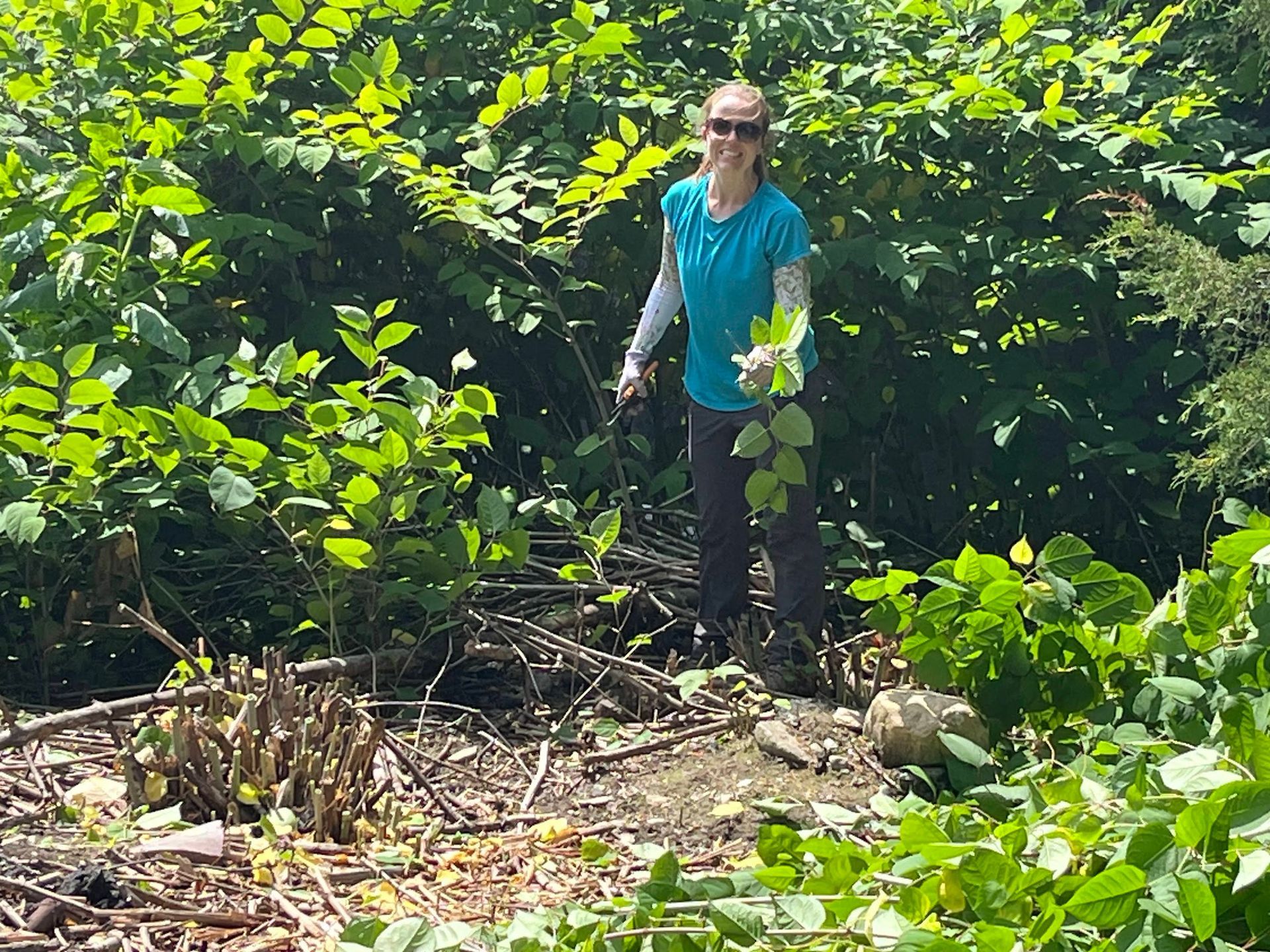 Invasive Species