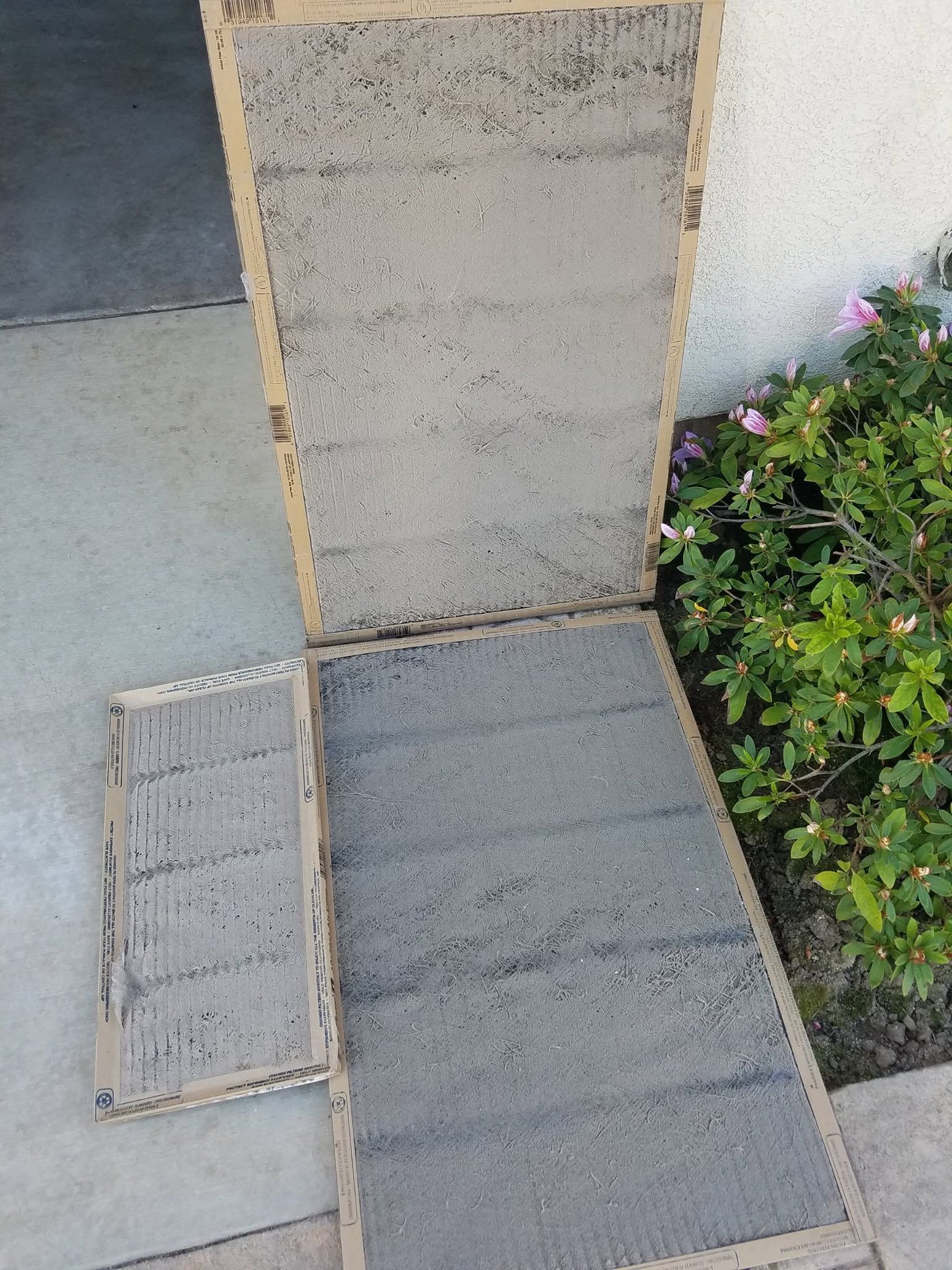 Concrete wheelchair ramp at a building entrance beside a planter and walkway.