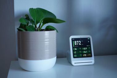 Small potted plant beside a digital display showing 87° in a minimalist room