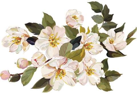 White Flower