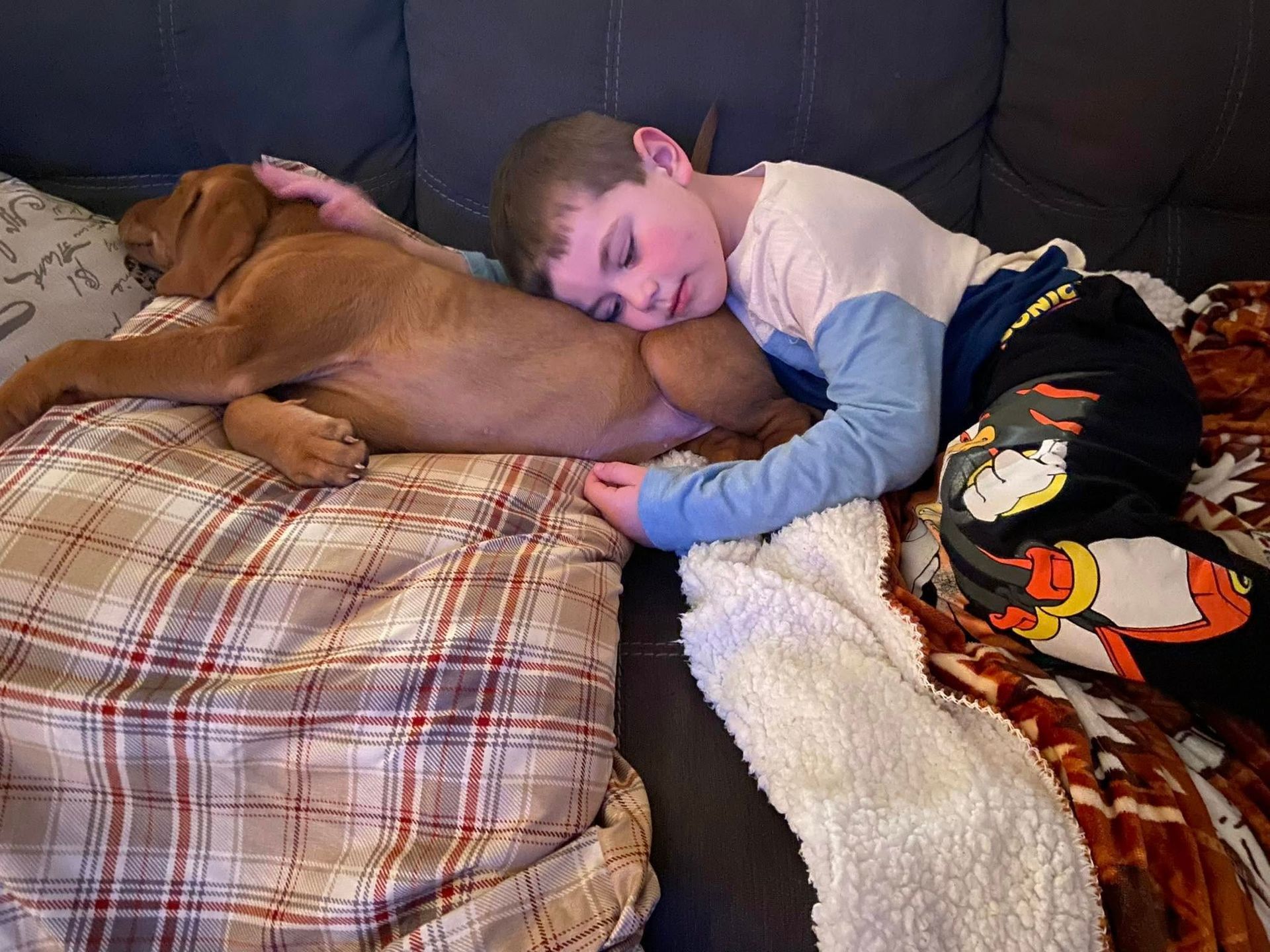 Boy asleep on a couch, cuddling with a brown puppy. Cozy setting with blankets.