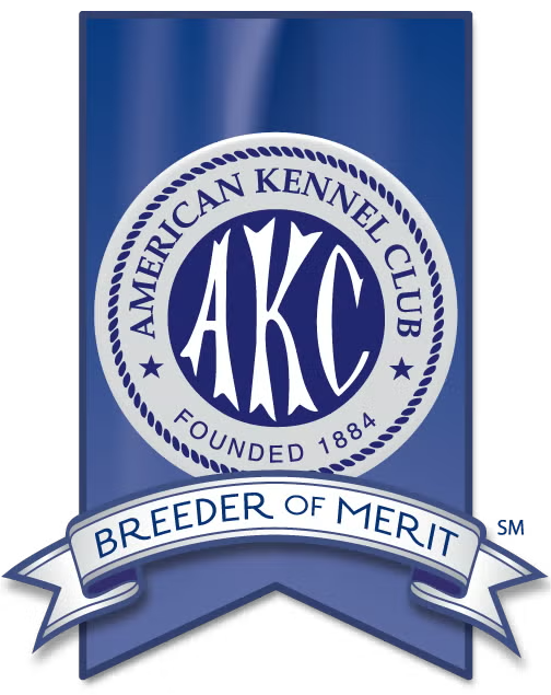 AKC Breeder of Merit emblem: Blue and white circular logo on a blue banner.