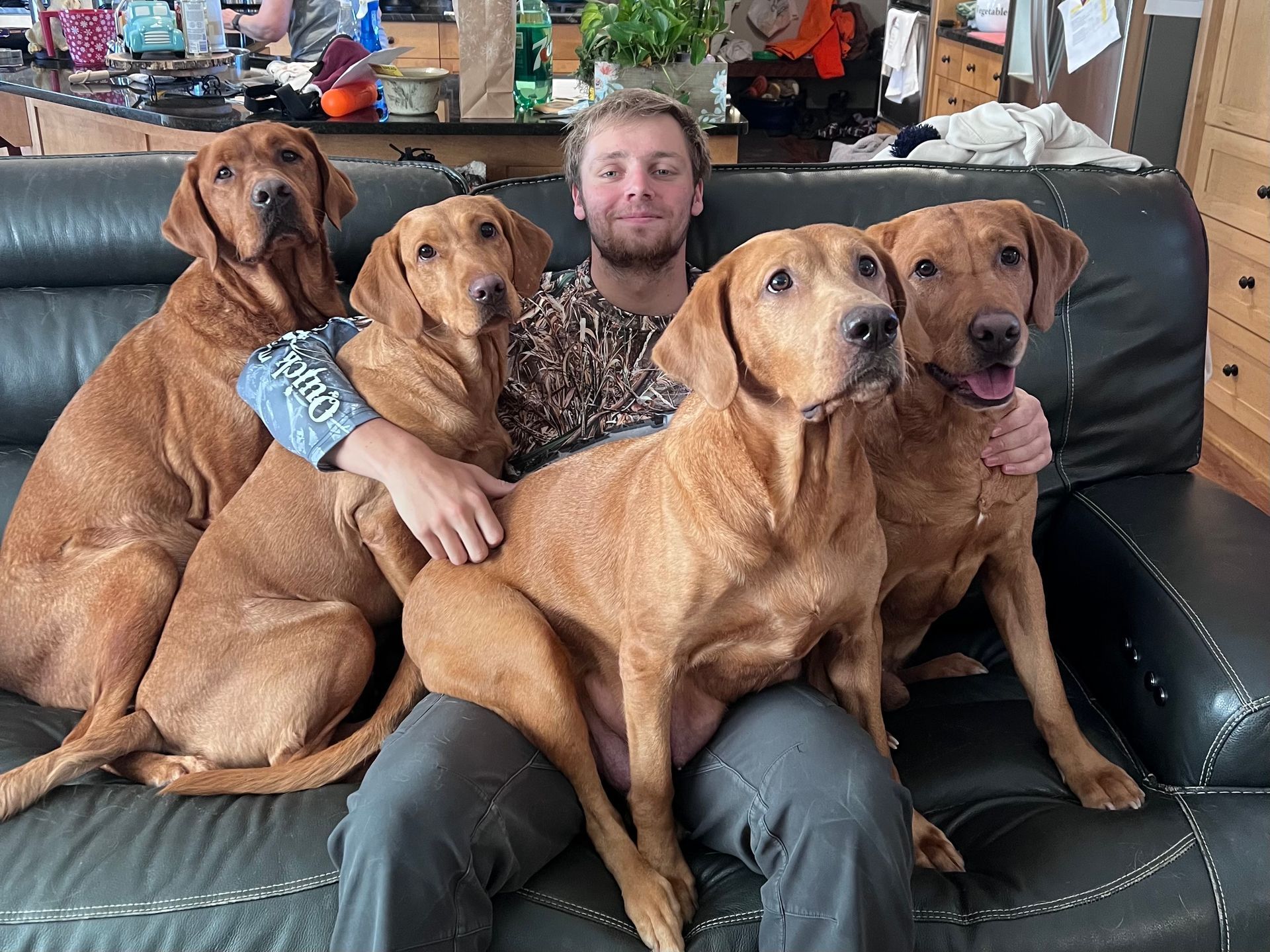 Man surrounded by four brown dogs on a black couch.