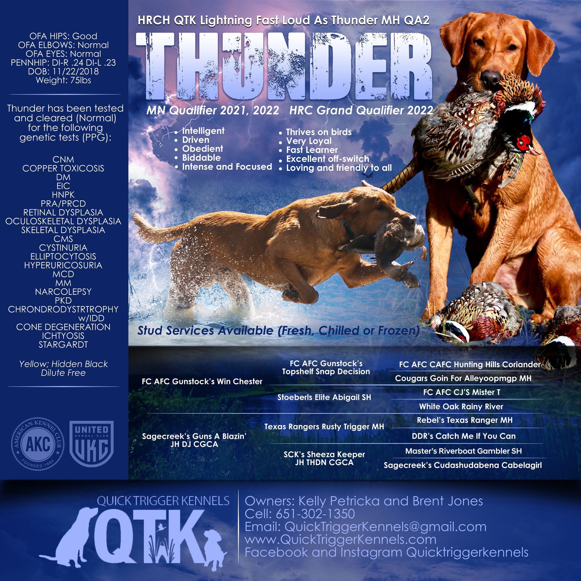 Advertisement for 