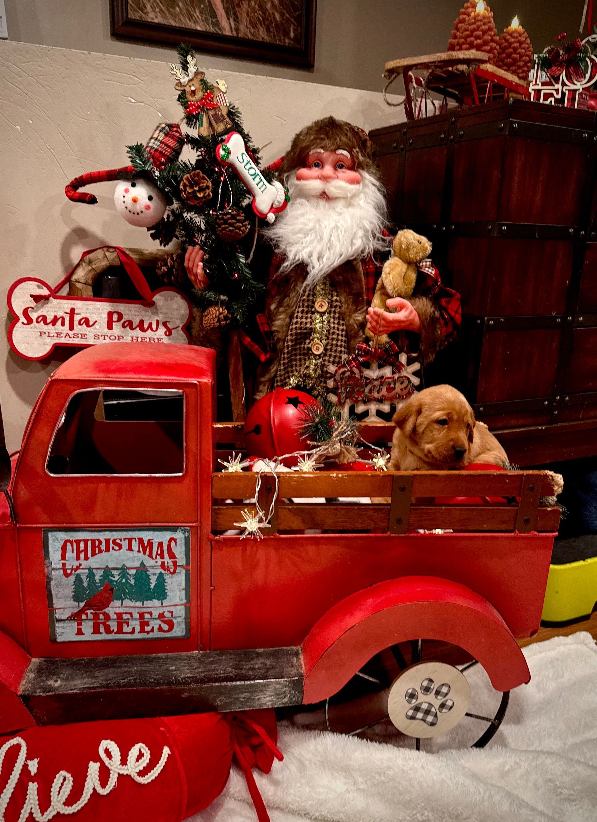 Red truck with puppy, Santa Claus statue, and Christmas decorations.