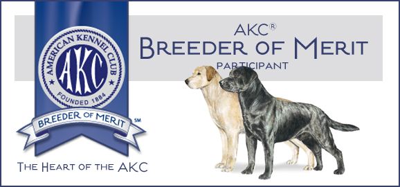Logo with two Labrador retrievers and the text: