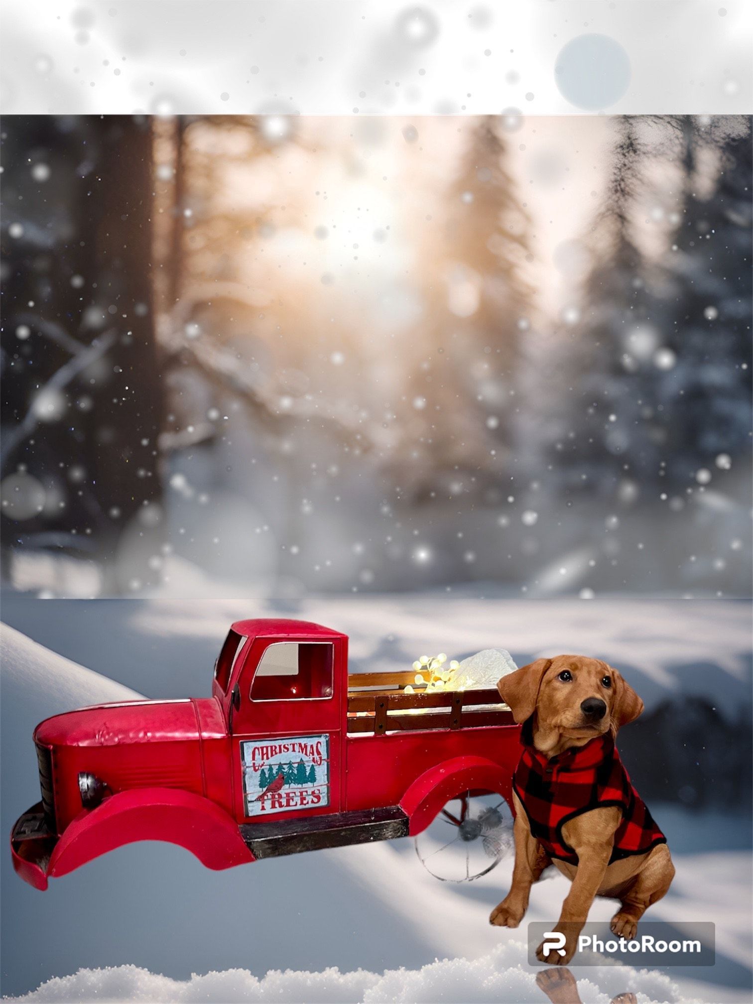 Red truck with golden dog in a snowy forest. Dog wears red plaid jacket.