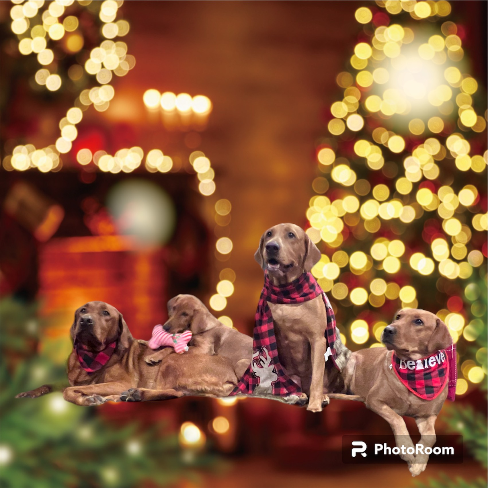 Four dogs in front of a Christmas tree and fireplace, wearing plaid scarves and bandanas.
