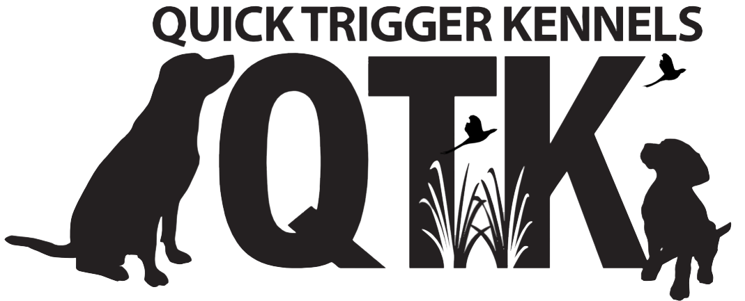 Logo for 