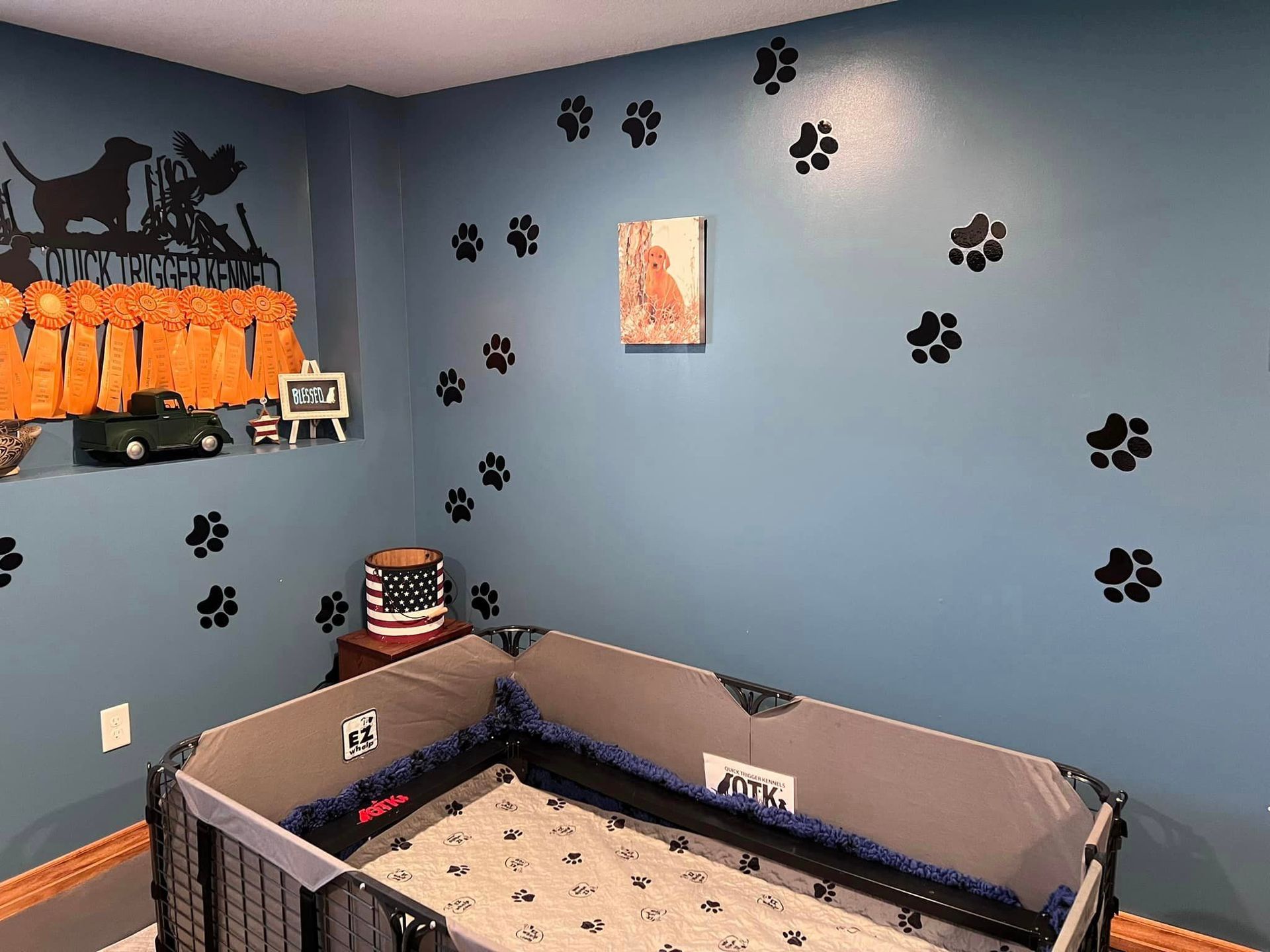 Dog-themed room with blue walls, paw prints, a crate, and decorations.