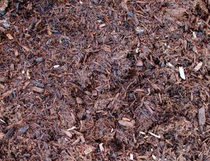 Close-up of brown mulch and wood chips covering the ground