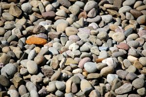 Close-up of assorted smooth pebbles in gray, tan, and white, with one orange stone among them