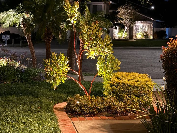 Be the Light Outdoor Lighting professional landscape lighting in Orange County, CA