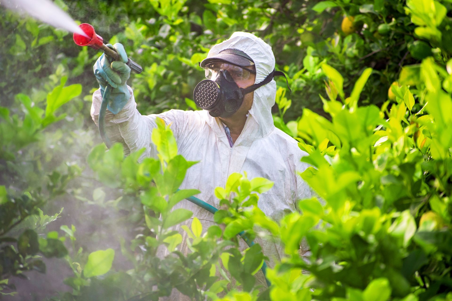 Pest Control Service