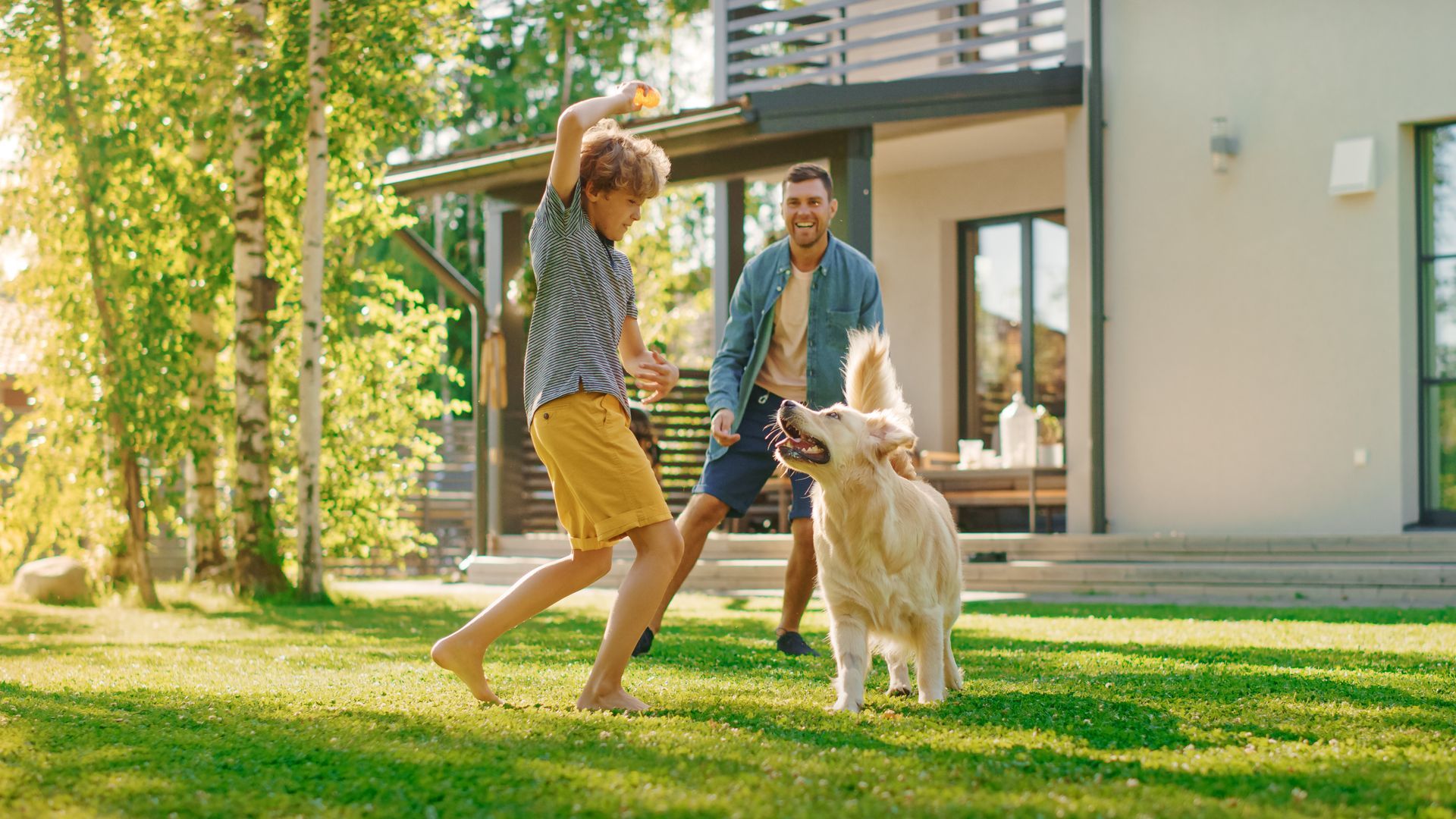 Father and Son Playing With Their in Backyard