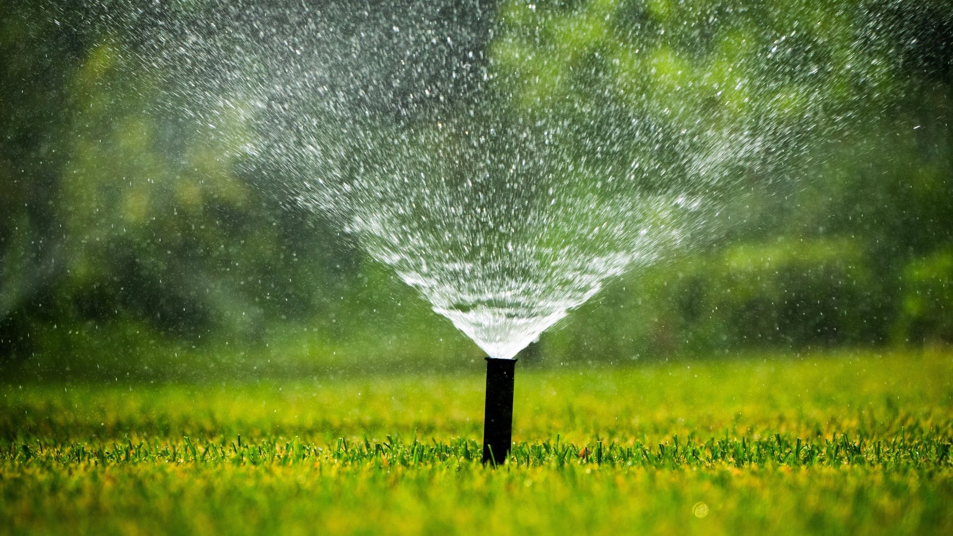 Irrigation System