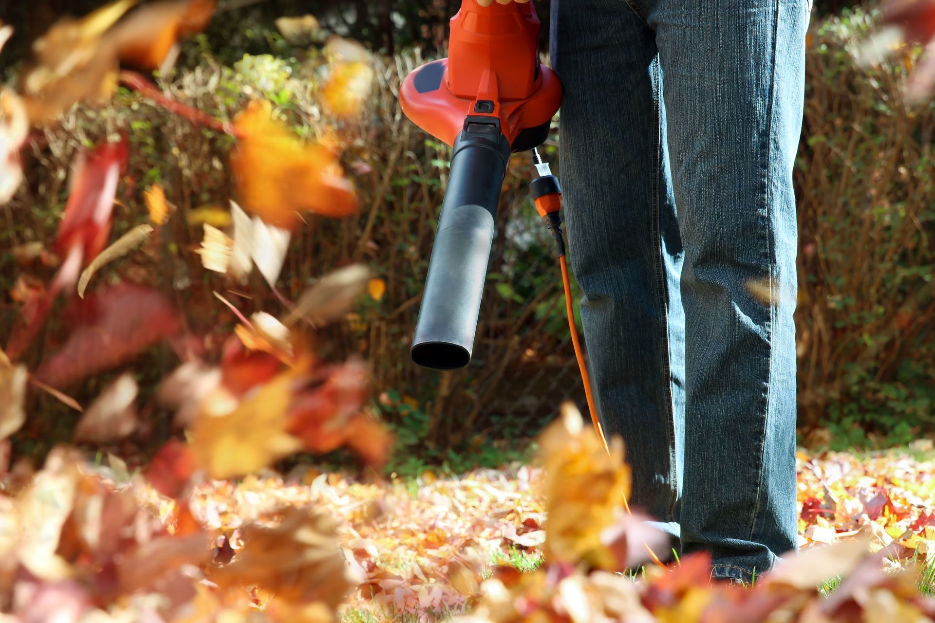 Leaf Blowing