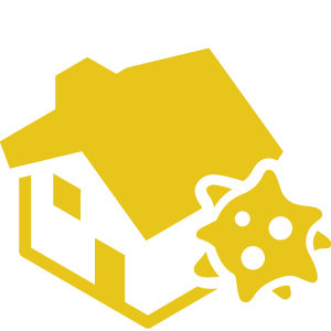 Home Inspection Mold Detection