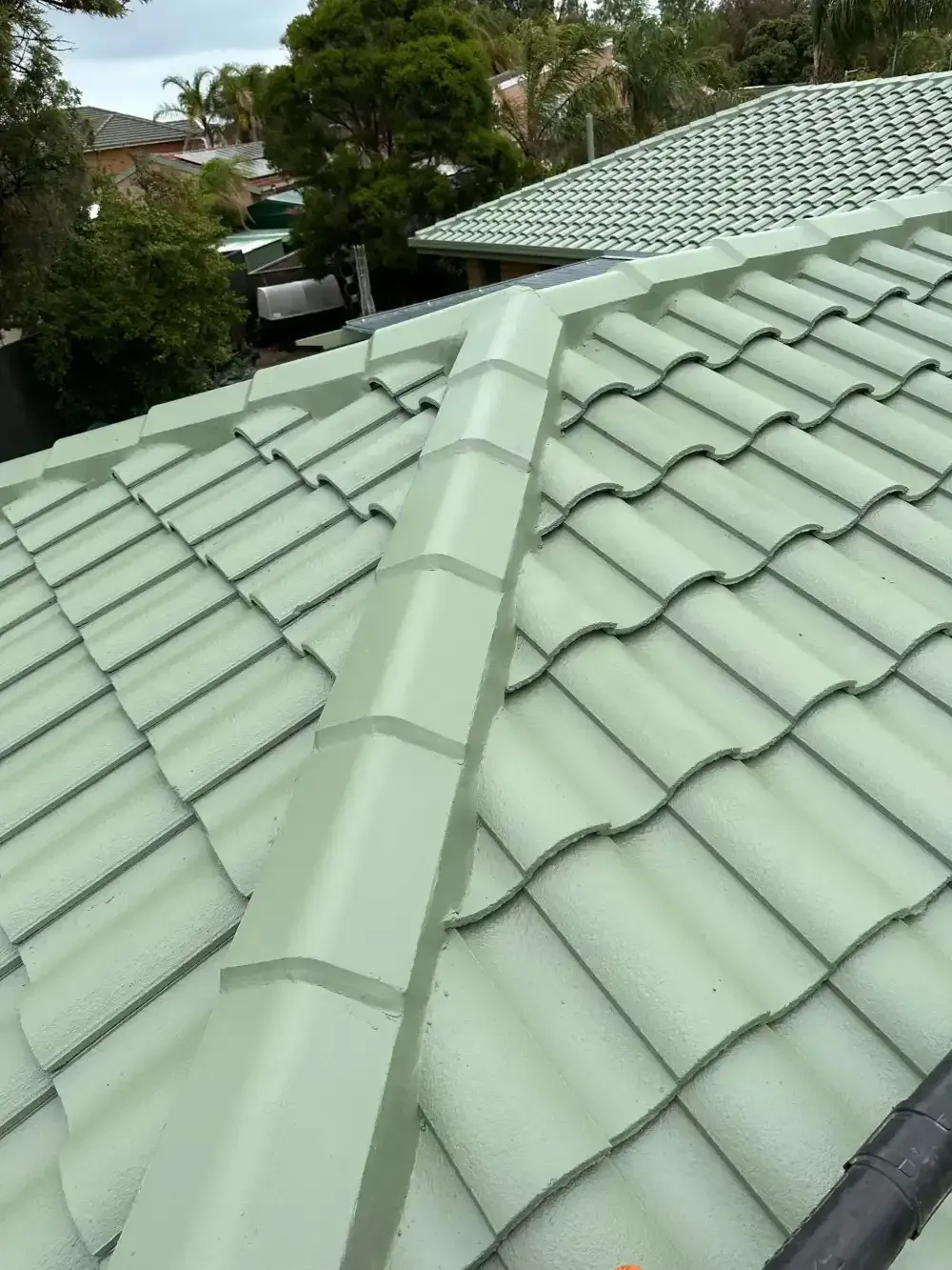 roof restoration after