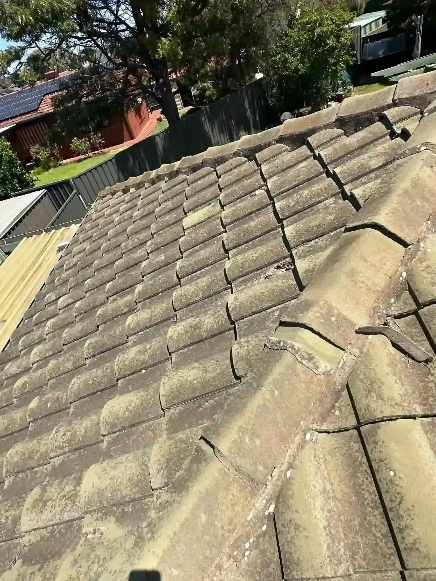 A roof with a lot of tiles on it and a tree in the background.