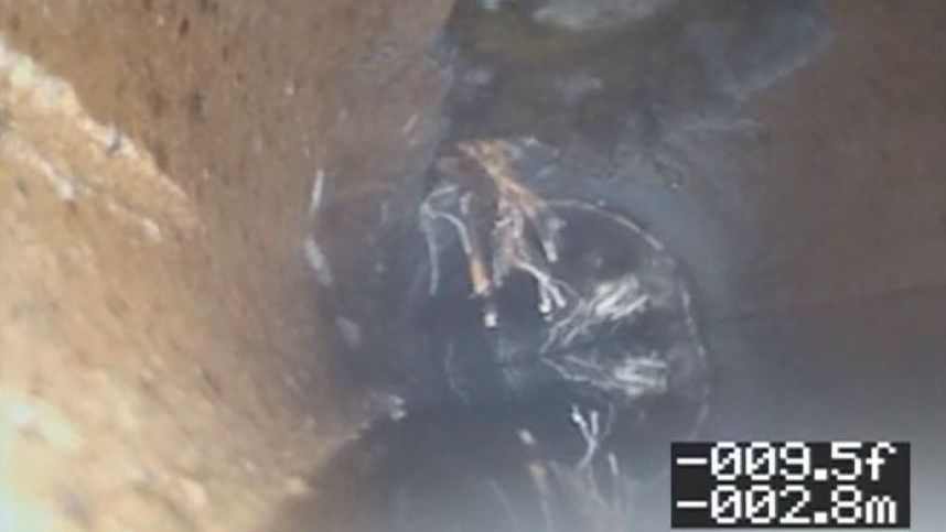 Sewer camera footage showing a pipe obstruction, likely tree roots, encroaching into the dark, textured pipe interior.