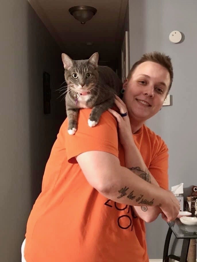 Dog & Cat Grooming Chicago, IL Ravenswoof Pet Grooming