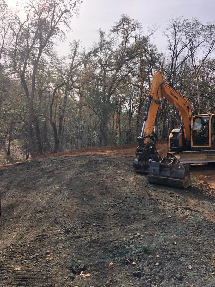 Orange excavator on a dirt path clearing land beside a wooded area