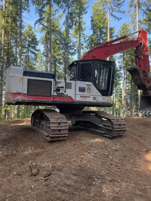 Red-and-white excavator on tracks in a forest clearing with a dirt mound.