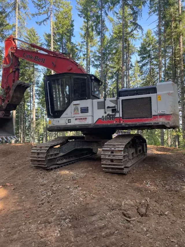 Tracked excavator with red arm in a forest clearing, resting on uneven dirt near tall pine trees.