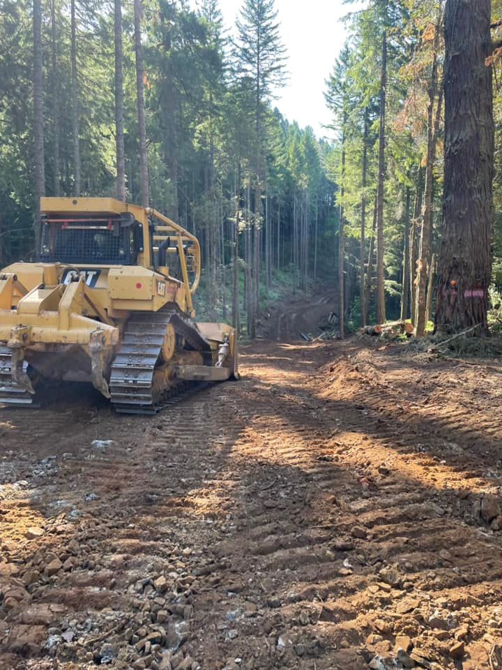 Yellow bulldozer on a muddy forest road, clearing a path between tall trees.