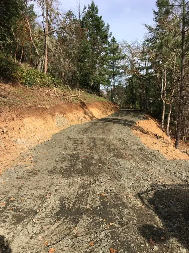 Freshly graded dirt road curving through a wooded hillside under clear daylight