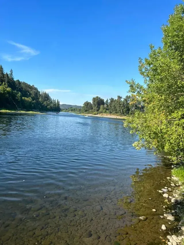 Calm river under a clear blue sky, with trees lining both banks and rocky shore in the foreground