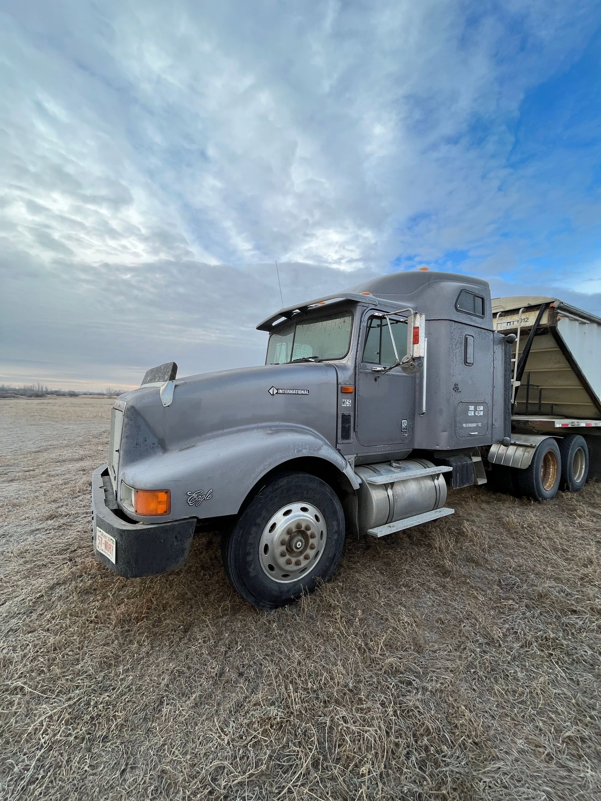 Gray semi-truck parked on a grassy field under a cloudy blue sky
