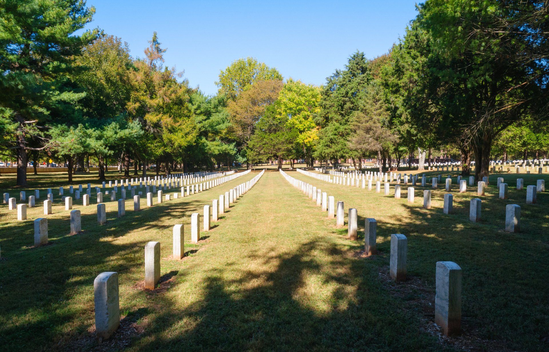 Rows of white headstones in a sunny cemetery lined with trees under a blue sky.