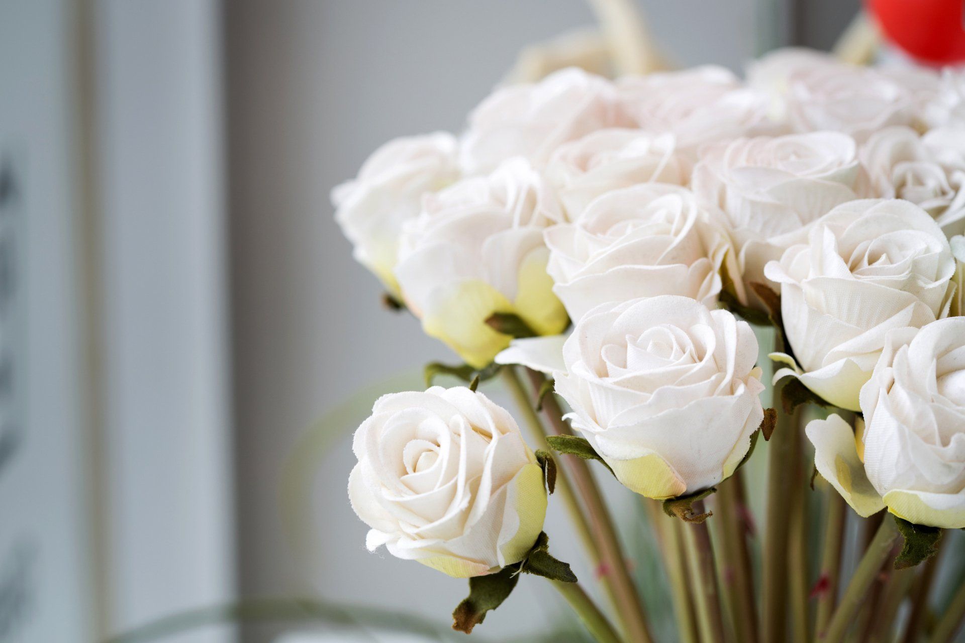 White roses in a bouquet, close up. Some flowers have a yellow tint.