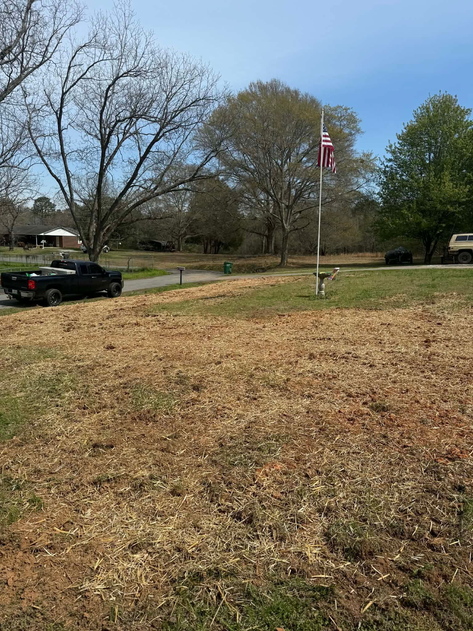 A black pickup truck parked on a grass lawn covered in fallen brown leaves, with trees and a flag pole in the background.