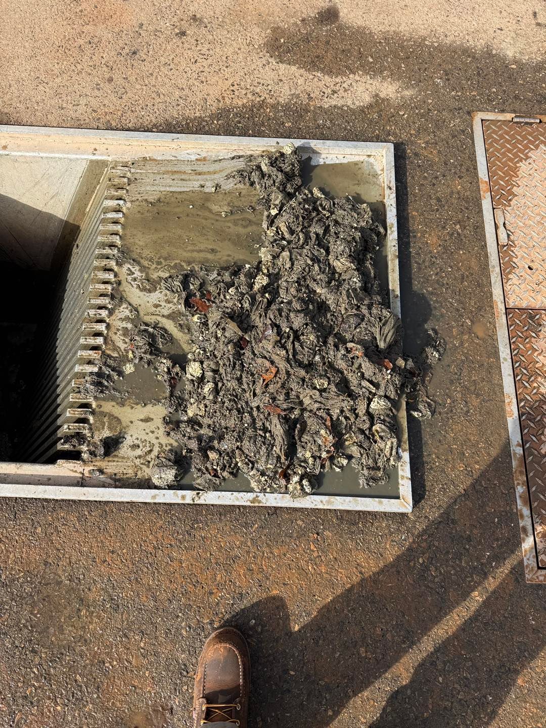 A dirty grate filter covered in a thick layer of sludge and debris removed from an industrial drain.