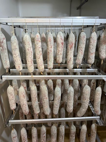 Lavorazione delle carni in laboratorio