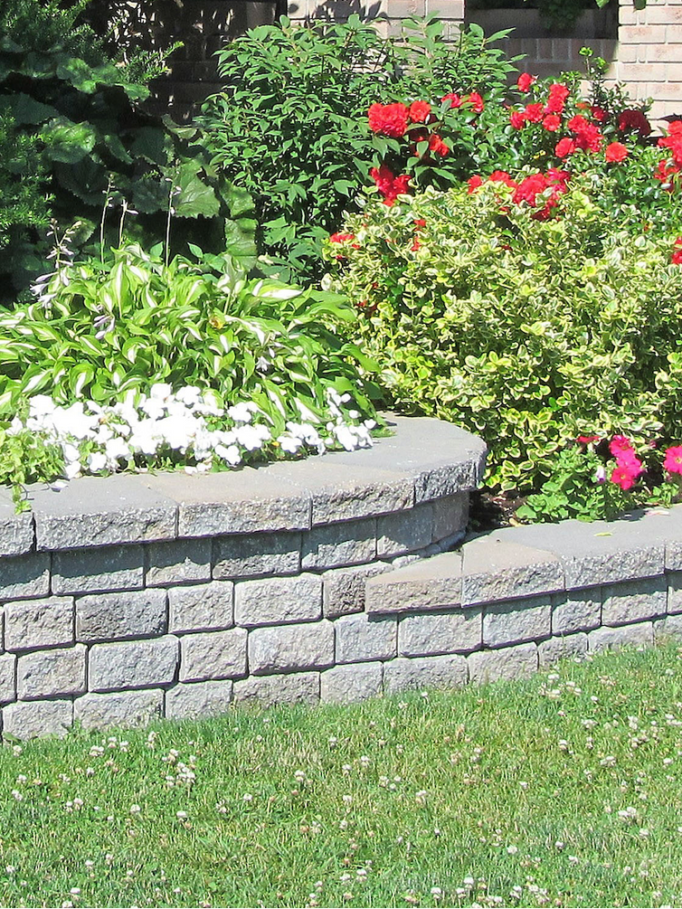 A stone wall surrounds a flower bed with red and white flowers