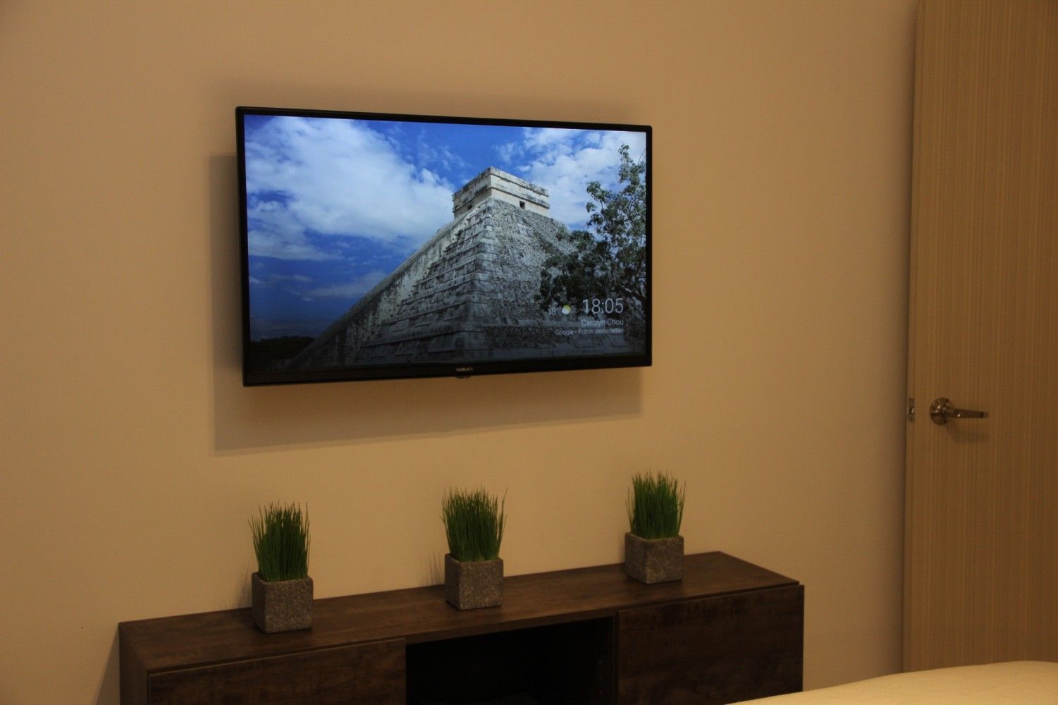 Televisor y mueble con plantas en el living, departamento en Le Coq