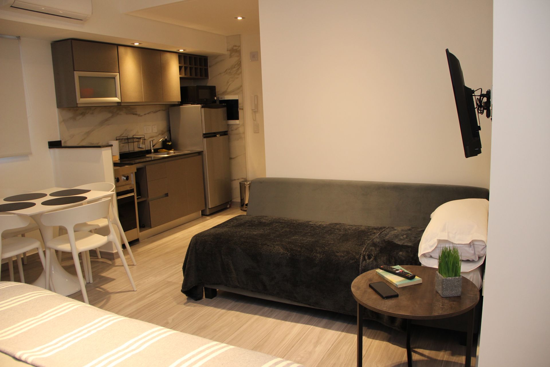 Small studio apartment with a sofa bed, compact kitchen, dining table, and side table with a plant.