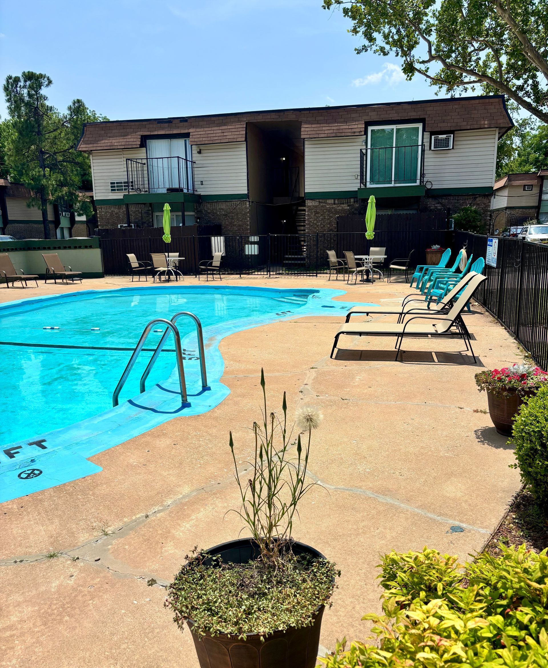 Swimming pool with lounge chairs and a building in the background.