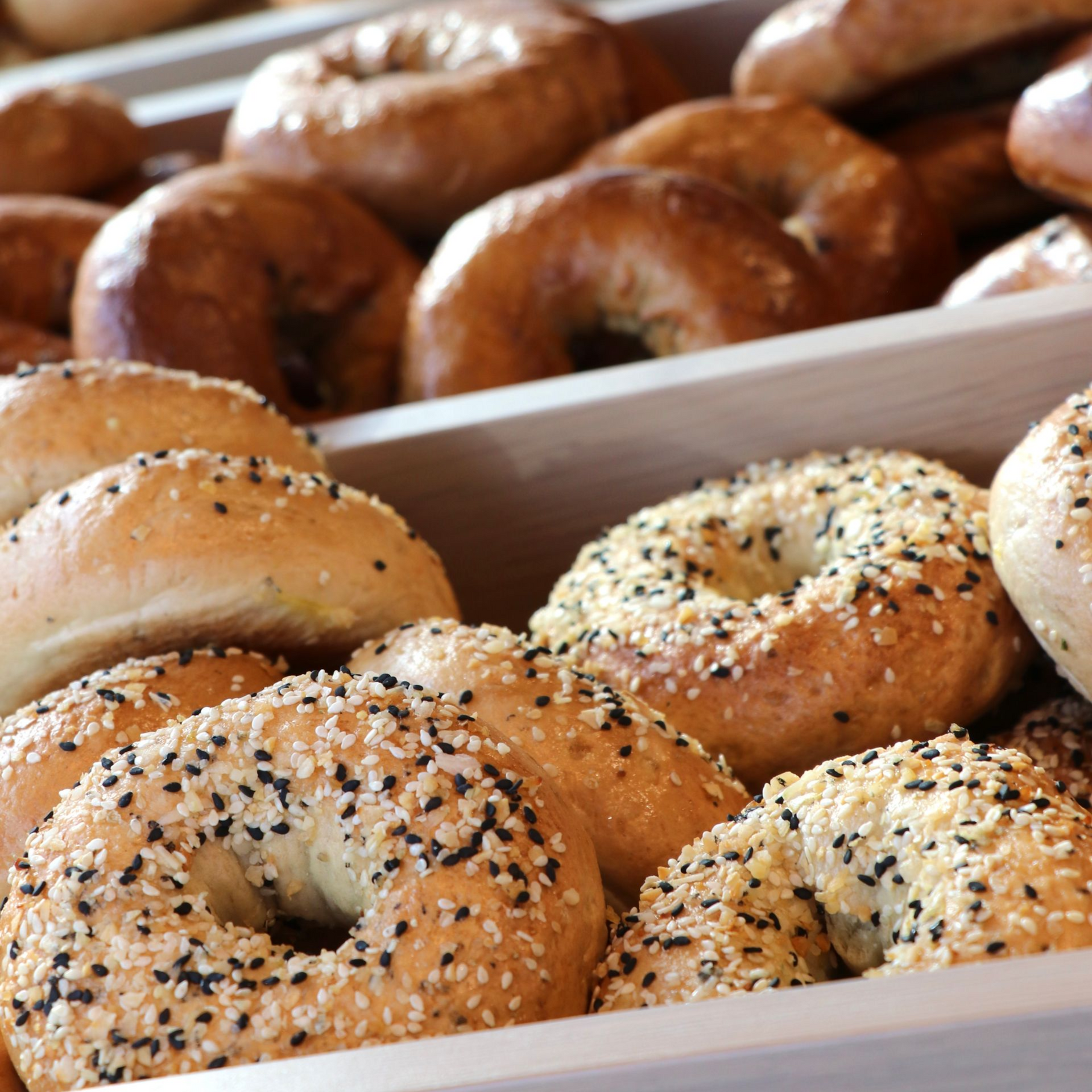 Wooden tray filled with various bagels, including plain, everything, and jalapeño cheddar.
