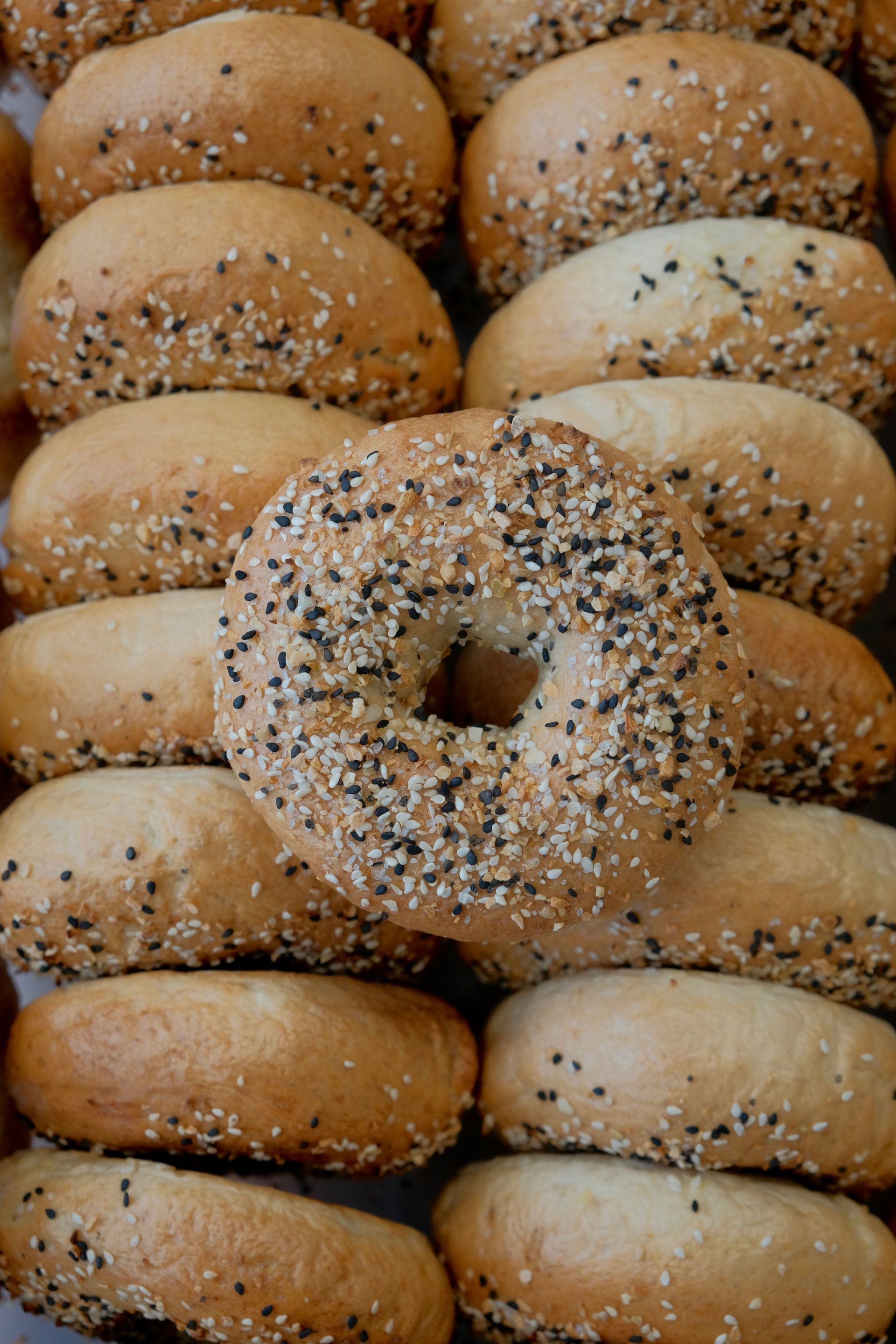 Everything Polishire bagel with sesame and poppy seeds, close-up in a basket.