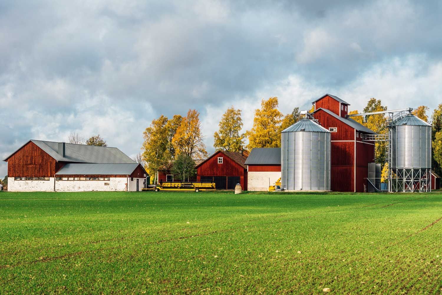 Red farm buildings with silver silos in a green field under a cloudy sky. Red farm buildings with silver silos in a green field under a cloudy sky.