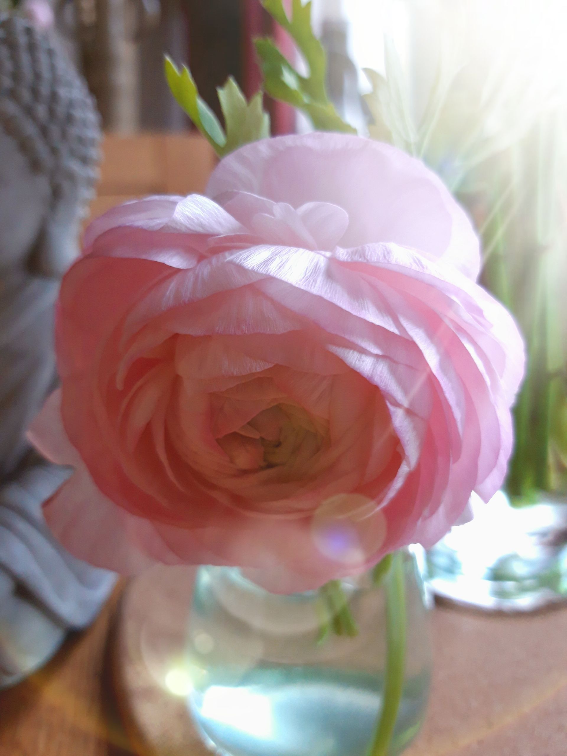 Sfeerbeeld van een boeddha en een roze pioenroos.
