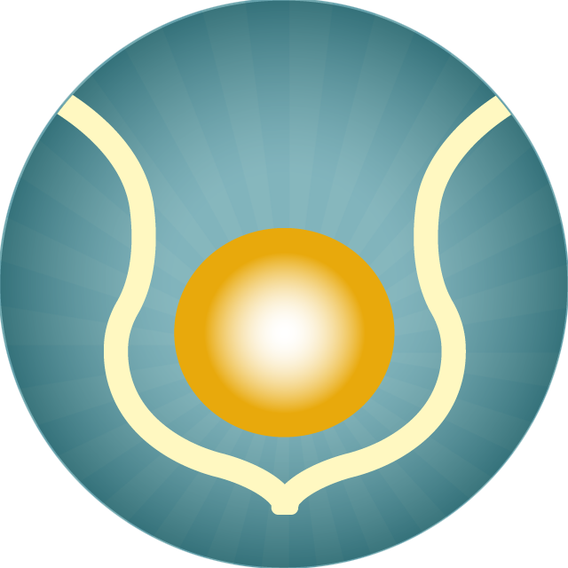 Het logo van Soul Body Fusion Nederland.