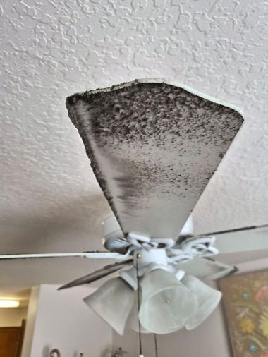 Ceiling fan with a dark, stained-looking shade or cover mounted on a textured white ceiling