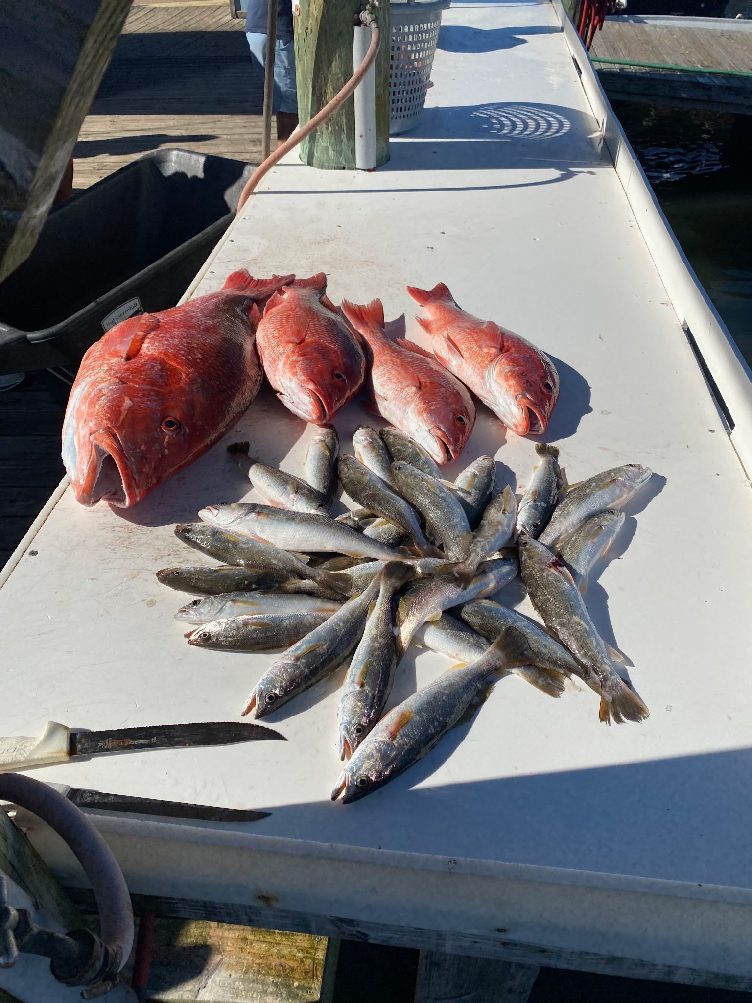 Freshly caught fish and two red fish laid out on a white dock table by the water