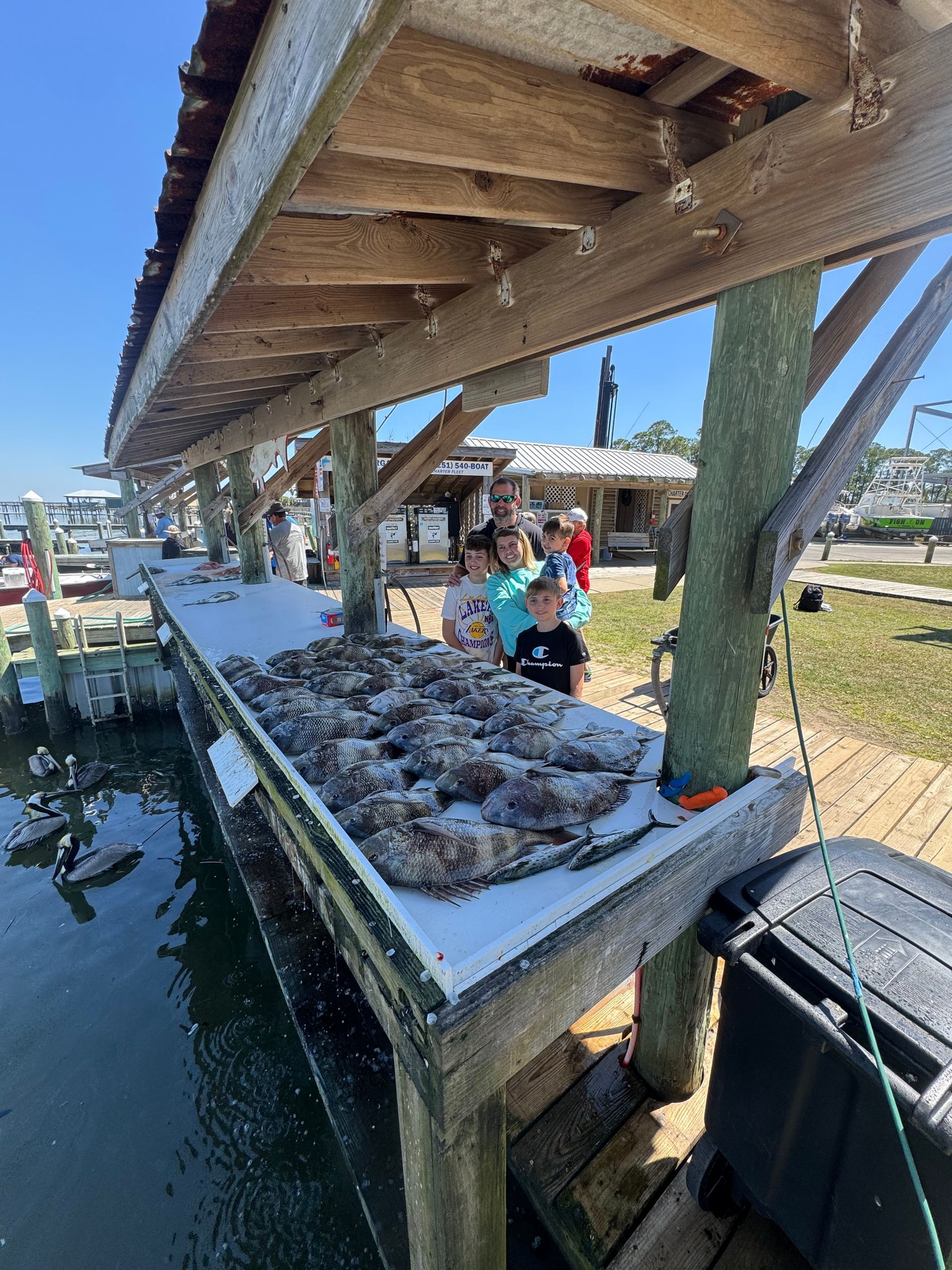 Oyster bed under a dock with workers sorting shellfish beside the water